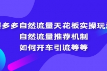 拼多多自然流量天花板实操玩法：自然流量推荐机制，如何开车引流等等 - 中创网-中创网