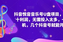 抖音音乐号U盘项目 一单几十利润 无需投入太多 一台手机 几个抖音号就开始 - 中创网-中创网