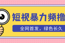 外面收费1680的短视频暴力撸金，日入300+长期可做，赠自动收款平台 - 中创网-中创网