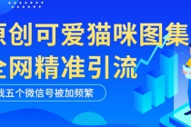 黑科技纯原创可爱猫咪图片，全网精准引流，实操5个VX号被加频繁 - 中创网-中创网