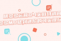 拼多多运营0-1实战特训营，拼多多从0础到进阶的可实操玩法！ - 中创网-中创网