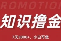 抖音知识撸金项目：简单粗暴日入1000+执行力强当天见收益(教程+资料) - 中创网-中创网