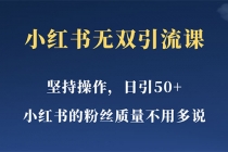 小红书无双课一天引50+女粉，不用做视频发视频，小白也很容易上手拿到结果 - 中创网-中创网