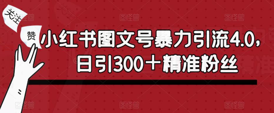图片[1]-小红书图文号暴力引流4.0，日引300＋精准粉丝【揭秘】 - 中创网-中创网