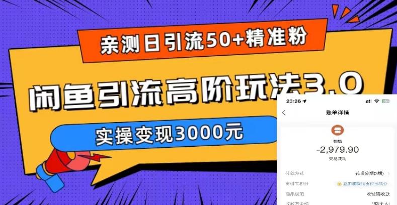 亲测日引50+精准粉，闲鱼引流高阶玩法3.0，实操变现3000元【揭秘】 - 中创网-中创网