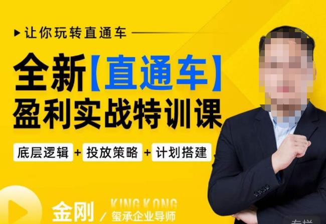 玺承·全新直通车盈利实战特训课，从​底层逻辑详细拆解，从底层，策略到搭建，让你玩转直通车 - 中创网-中创网