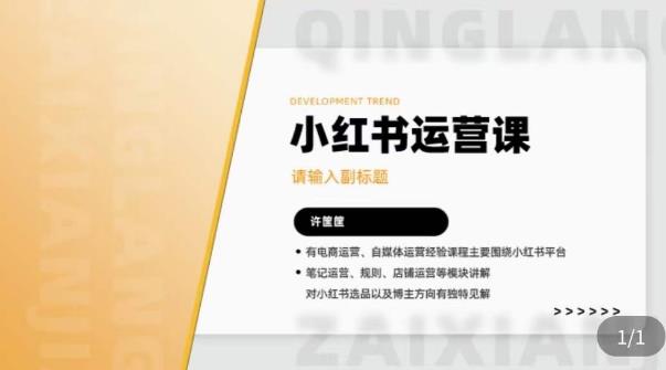 图片[1]-许筐筺·小红书运营课，​笔记运营、规则、店铺运营等模块讲解，学会自己独立运营小红书账号 - 中创网-中创网