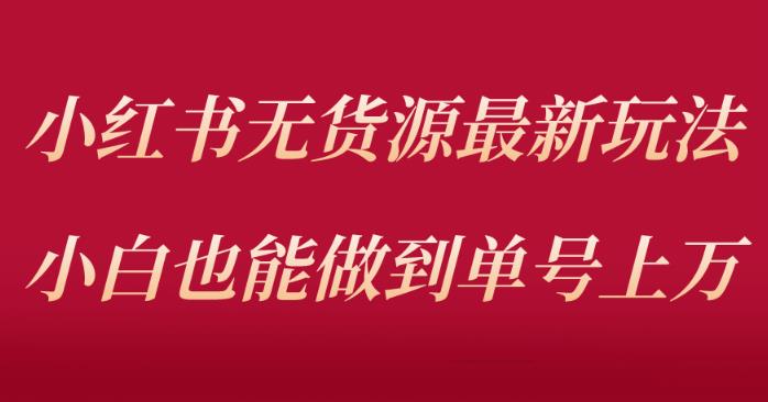 小红书无货源最新螺旋起号玩法，电商小白也能做到单号上万（价值3980元） - 中创网-中创网