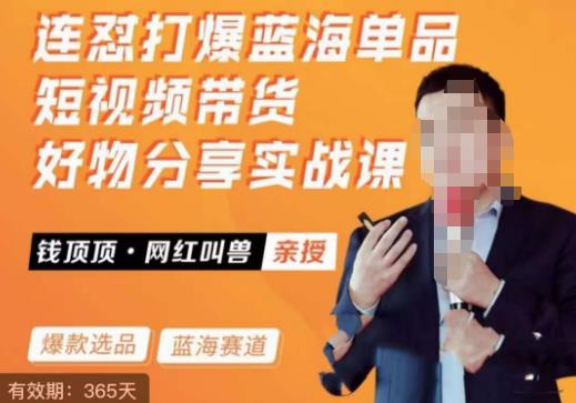 网红叫兽·连怼打爆蓝海单品，短视频带货好物分享实战课 - 中创网-中创网