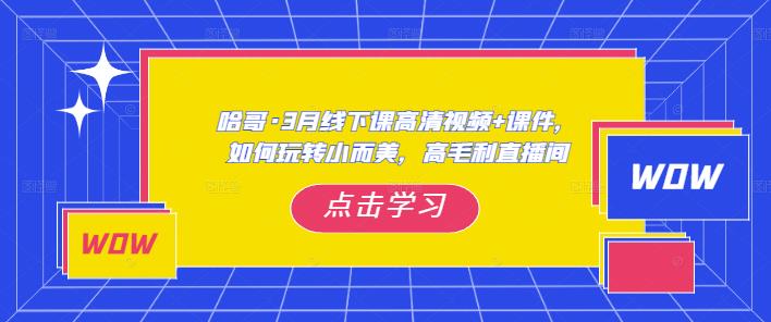 哈哥·3月线下实操课高清视频+课件，如何玩转小而美，高毛利直播间 - 中创网-中创网