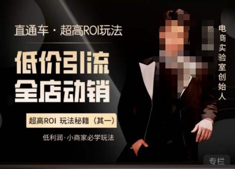 图片[1]-电商冰可乐·直通车·《低价引流·全店动销》，直通车·超高ROI玩法（其一）全店动销必学玩法 - 中创网-中创网