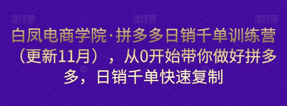 白凤电商学院·拼多多日销千单训练营，从0开始带你做好拼多多，日销千单快速复制（更新知2023年3月） - 中创网-中创网