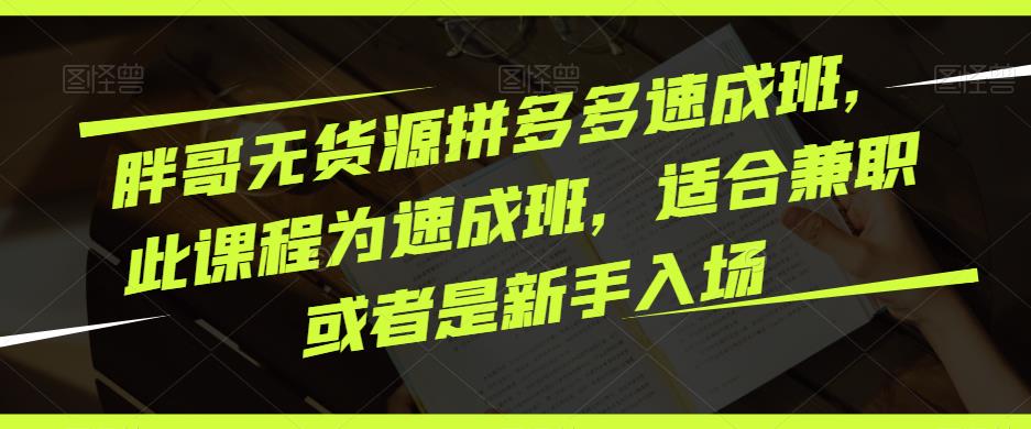 胖哥无货源拼多多速成班，此课程为速成班，适合兼职或者是新手入场 - 中创网-中创网