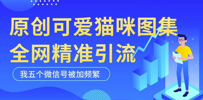图片[1]-黑科技纯原创可爱猫咪图片，全网精准引流，实操5个VX号被加频繁 - 中创网-中创网