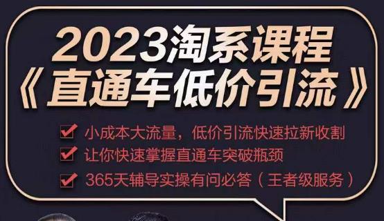 图片[1]-2023直通车低价引流玩法课程，小成本大流量，低价引流快速拉新收割，让你快速掌握直通车突破瓶颈 - 中创网-中创网