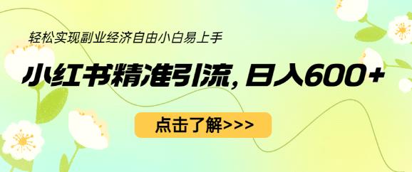 小红书精准引流，小白日入600+，轻松实现副业经济自由（教程+1153G资源） - 中创网-中创网