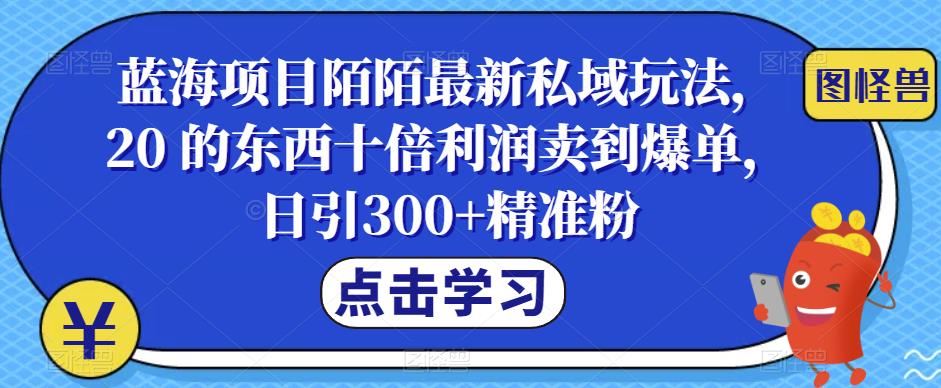 图片[1]-蓝海项目陌陌最新私域玩法，20 的东西十倍利润卖到爆单，日引300+精准粉【揭秘】 - 中创网-中创网