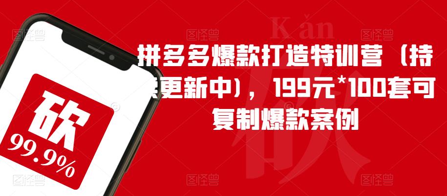 图片[1]-拼多多爆款打造特训营（持续更新中)，199元*100套可复制爆款案例 - 中创网-中创网