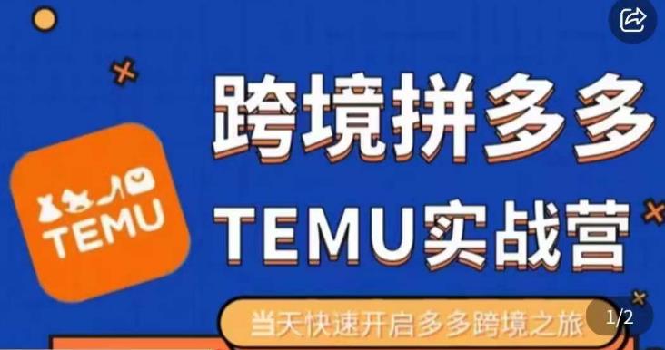 图片[1]-大鹏出海·拼多多跨境temu运营指导，开店注册+选品+核价上架，日出千单实战课 - 中创网-中创网