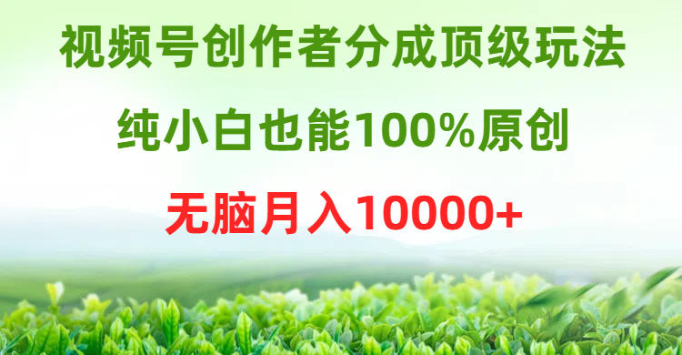 视频号创作者分成顶级玩法，纯小白也能100%原创，无脑月入10000+ - 中创网-中创网