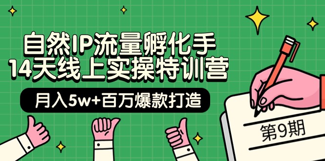 自然IP流量孵化手 14天线上实操特训营【第9期】月入5w+百万爆款打造 (74节) - 中创网-中创网