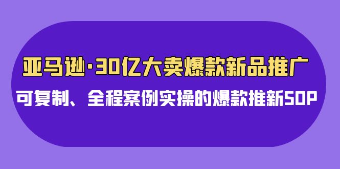 亚马逊30亿·大卖爆款新品推广，可复制、全程案例实操的爆款推新SOP - 中创网-中创网