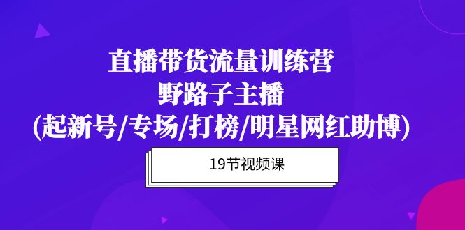 直播带货流量特训营，野路子主播(起新号/专场/打榜/明星网红助博)19节课 - 中创网-中创网