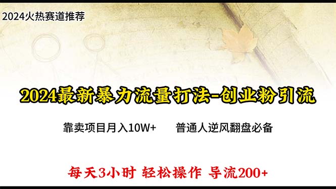 2024年最新暴力流量打法，每日导入300+，靠卖项目月入10W+ - 中创网-中创网