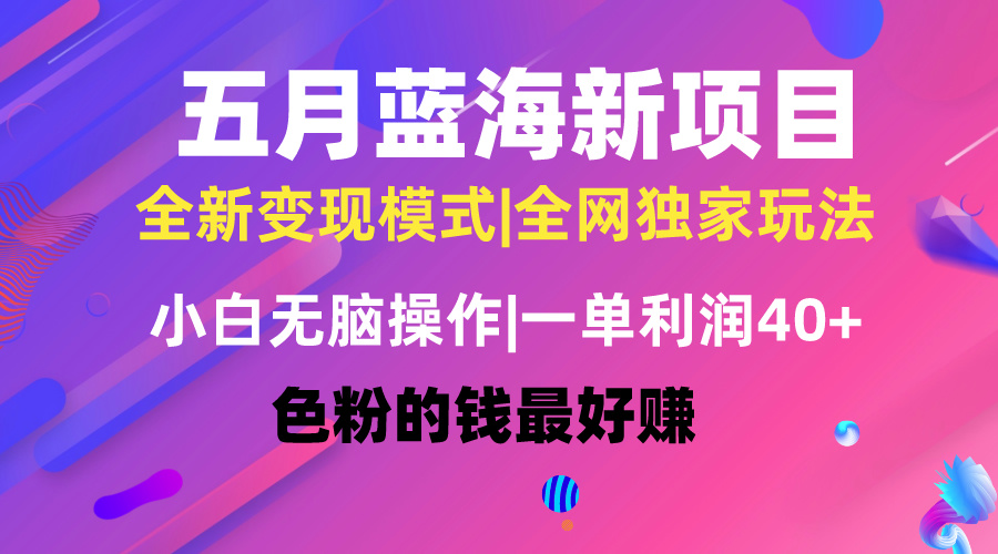 五月蓝海项目全新玩法，小白无脑操作，一天几分钟，矩阵操作，月入4万+ - 中创网-中创网