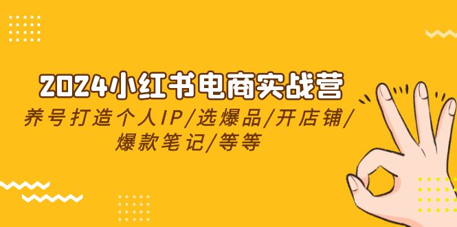 2024小红书电商实战营，养号打造IP/选爆品/开店铺/爆款笔记/等等 - 中创网-中创网