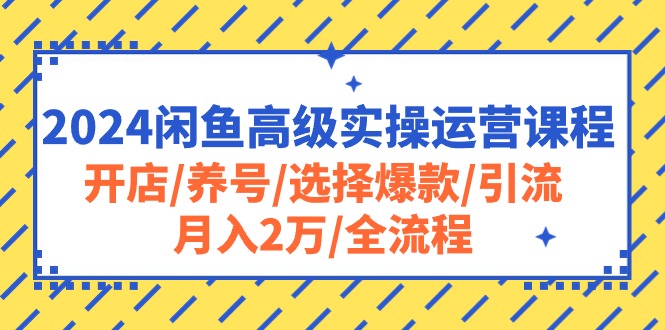 2024闲鱼高级实操运营课程：开店/养号/选择爆款/引流/月入2万/全流程 - 中创网-中创网