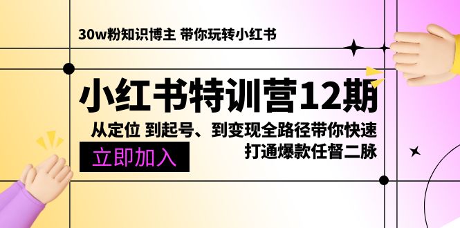 小红书特训营12期：从定位 到起号、到变现全路径带你快速打通爆款任督二脉 - 中创网-中创网
