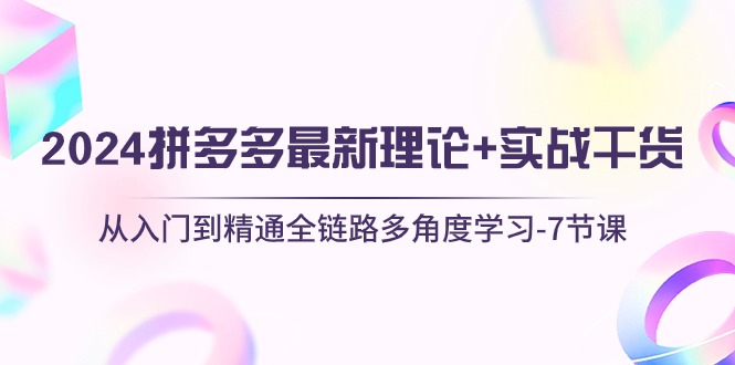 2024拼多多 最新理论+实战干货，从入门到精通全链路多角度学习-7节课 - 中创网-中创网