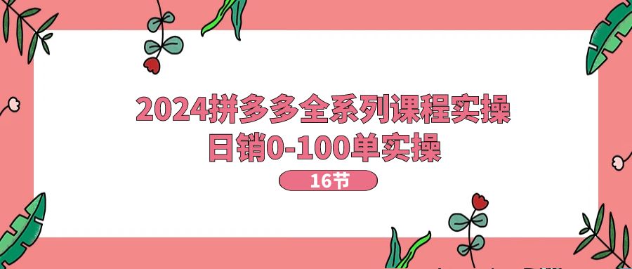 2024拼多多全系列课程实操，日销0-100单实操【16节课】 - 中创网-中创网