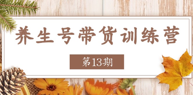 养生号-带货训练营【第13期】收益更稳定的玩法，让你带货收益爆炸 - 中创网-中创网