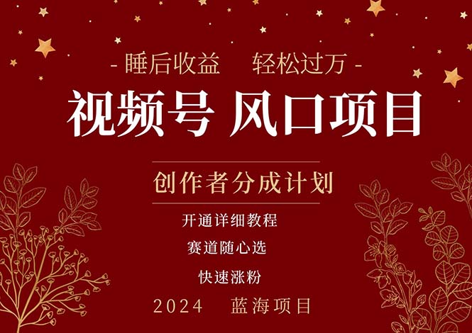 拥有睡眠收益的微信视频号大风口项目，轻松月入过万+，多赛道选择，可… - 中创网-中创网