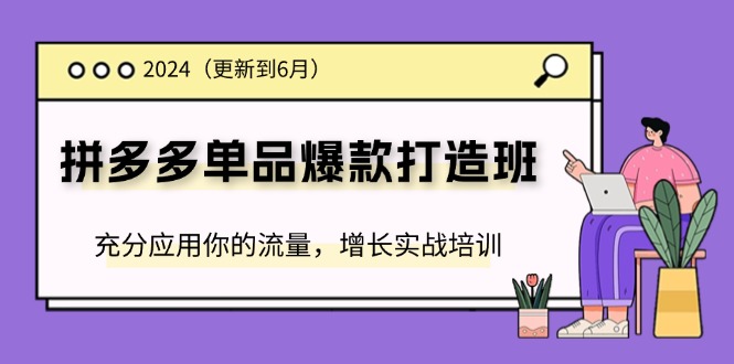 2024拼多多-单品爆款打造班(更新6月)，充分应用你的流量，增长实战培训 - 中创网-中创网