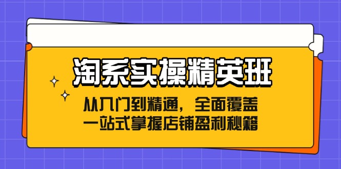 淘系实操精英班：从入门到精通，全面覆盖，一站式掌握店铺盈利秘籍 - 中创网-中创网