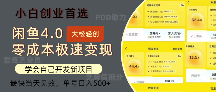 闲鱼0成本极速变现项目，多种变现方式 单号日入500+最新玩法 - 中创网-中创网