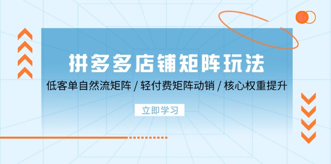 图片[1]-拼多多店铺矩阵玩法：低客单自然流矩阵 / 轻付费矩阵 动销 / 核心权重提升 - 中创网-中创网