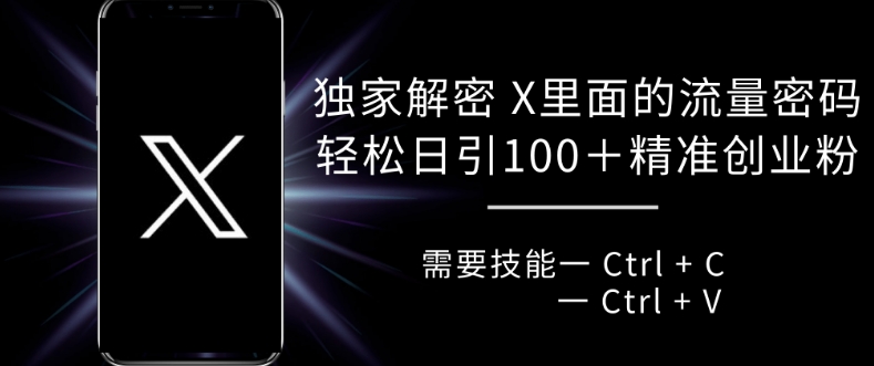 独家解密 X 里面的流量密码，复制粘贴轻松日引100+ - 中创网-中创网