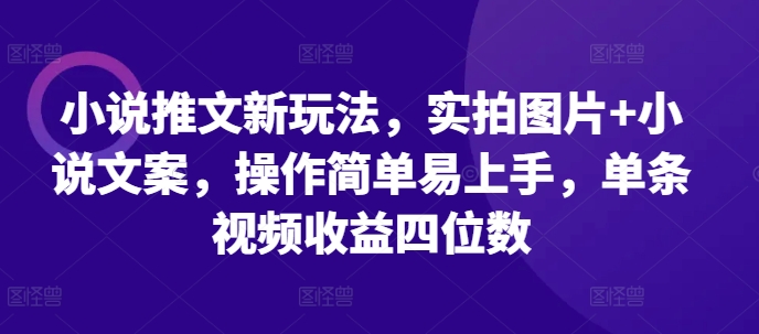小说推文新玩法，实拍图片+小说文案，操作简单易上手，单条视频收益四位数 - 中创网-中创网