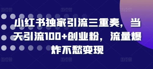 小红书独家引流三重奏，当天引流100+创业粉，流量爆炸不愁变现 - 中创网-中创网
