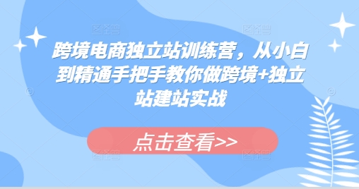 跨境电商独立站训练营，从小白到精通手把手教你做跨境+独立站建站实战 - 中创网-中创网