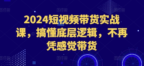 2024短视频带货实战课，搞懂底层逻辑，不再凭感觉带货 - 中创网-中创网