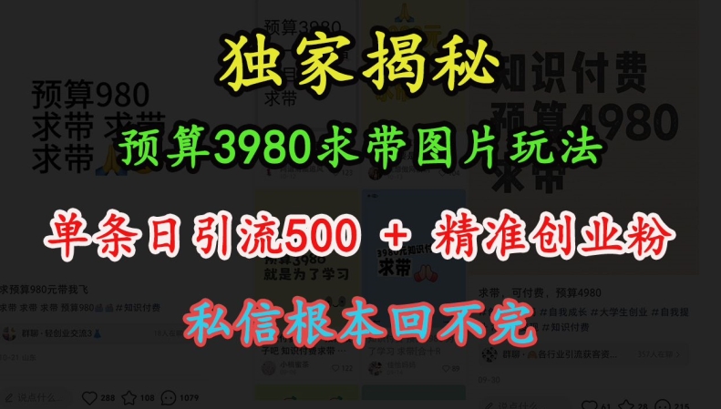 预算3980求带 图片玩法，单条日引流500+精准创业粉，私信根本回不完 - 中创网-中创网
