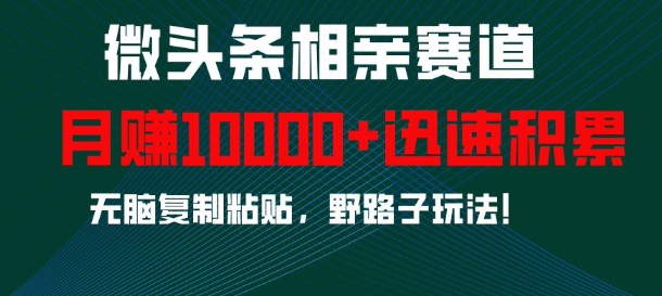 微头条相亲赛道，迅速积累，无脑复制粘贴，野路子玩法，月入1w - 中创网-中创网