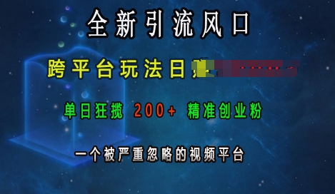 全新引流风口，跨平台玩法日入上k，单日狂揽200+精准创业粉，一个被严重忽略的视频平台 - 中创网-中创网