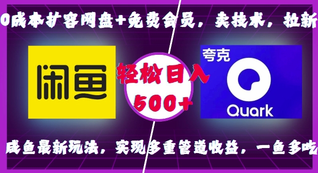 0成本扩容网盘+免费会员，卖技术，拉新，咸鱼最新玩法，实现多重管道收益，一鱼多吃，轻松日入500+ - 中创网-中创网