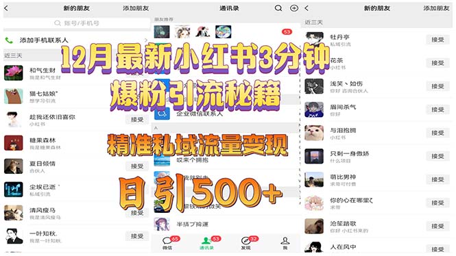 12月最新小红书3分钟爆粉引流秘籍 精准私域流量变现 日引500+ - 中创网-中创网